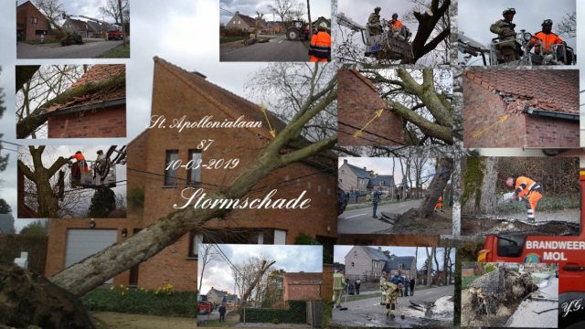 Stormschade