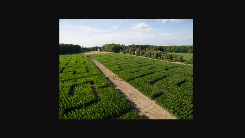 Luchtfoto doolhof