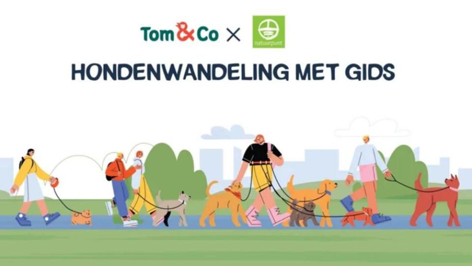 Wandel op zondag 2 april mee in Mol met Tom-en-Co en Natuurpunt