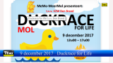 Duckrace for Live op de Molse Nete